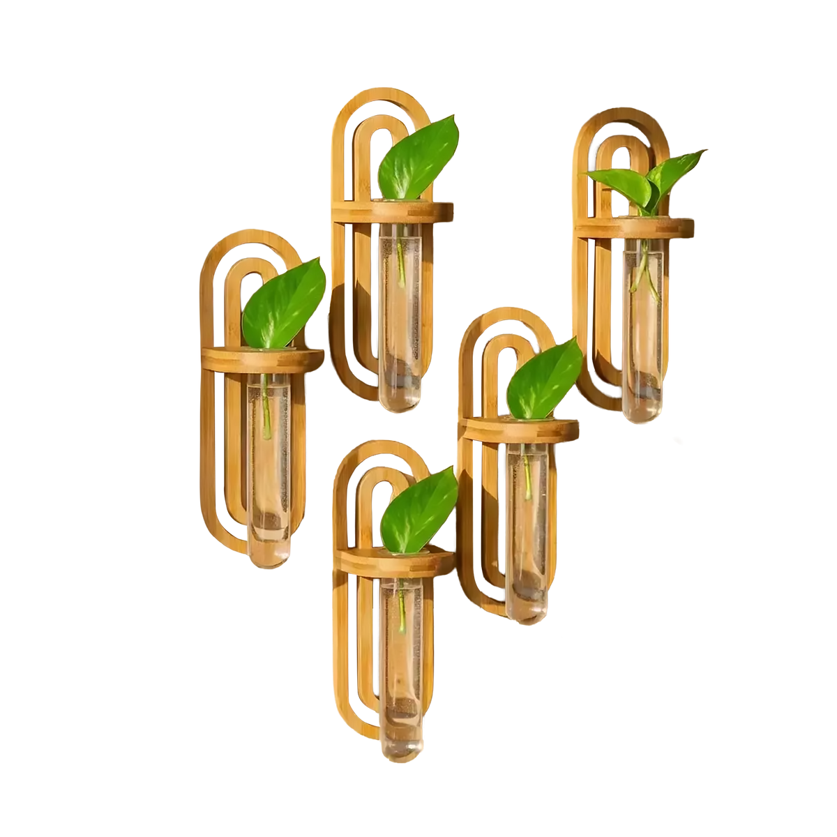 Bamboo Switch Bamboo Propagation Wall Hanger